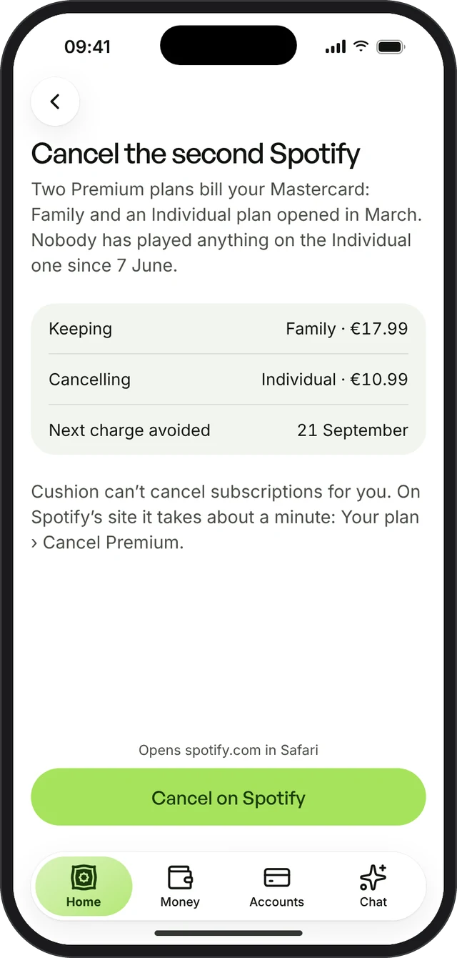 Cushion explaining a duplicate Spotify plan